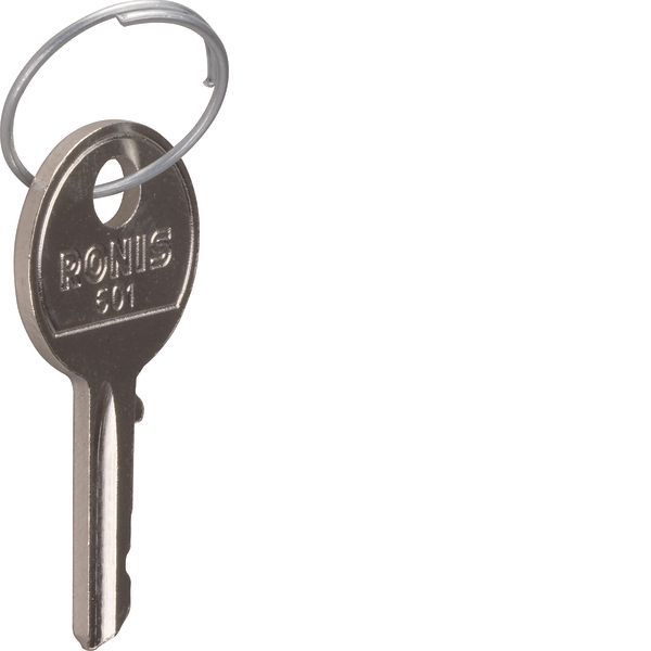 2 Spare keys for SK606 image 1