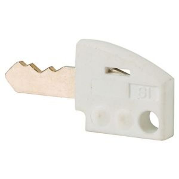 Individual key, white image 2