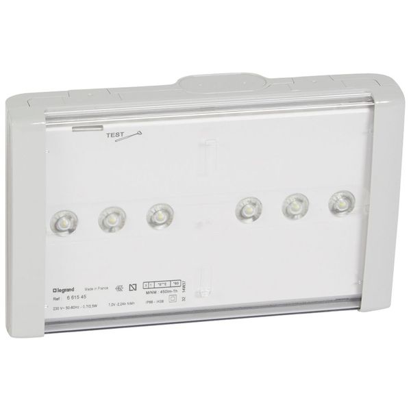 Emergency luminaire B66 LED - maintained/non-maintained - IP 66 - 1h - 450 lm image 1