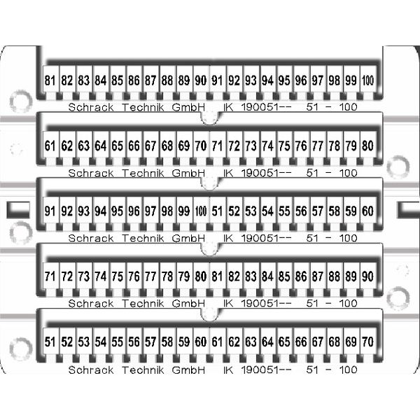 Marking tags 51-100 (each 2x) image 1