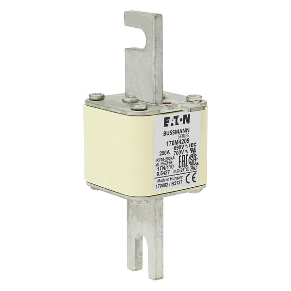 Fuse-link, high speed, 250 A, AC 690 V, DIN 1, 53 x 66 x 138 mm, aR, DIN, IEC, type T indicator image 18