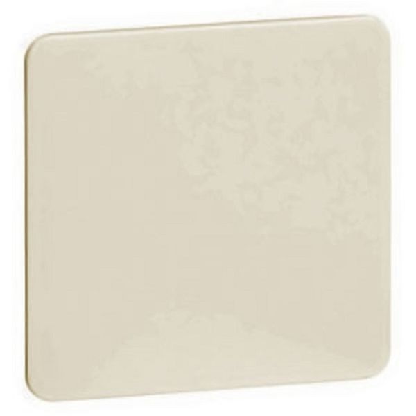 Blanking plate, white, NL H 80.677 W image 1