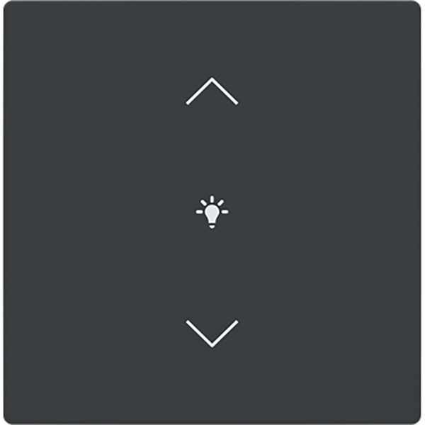 Cover for dimmer icon 1. Rocker keypad 63 image 1