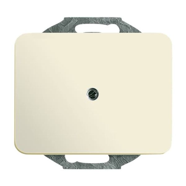 1803-22G CoverPlates (partly incl. Insert) carat® ivory image 3