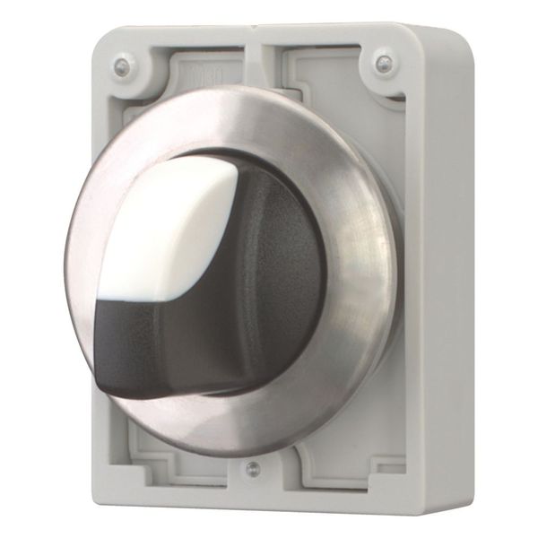 Changeover switch, RMQ-Titan, with thumb-grip, momentary, 3 positions, Front ring stainless steel image 6