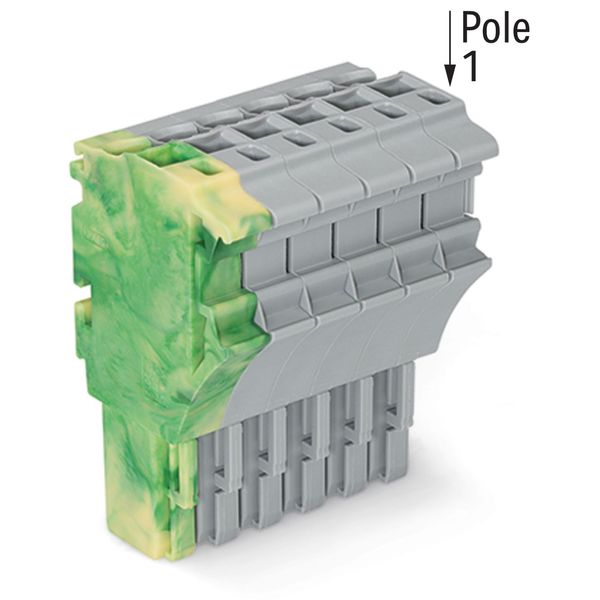 1-conductor female connector Push-in CAGE CLAMP® 4 mm² gray image 2