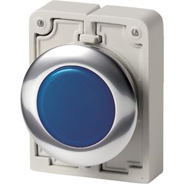 Indicator light, RMQ-Titan, Flat, Blue, Metal bezel image 4