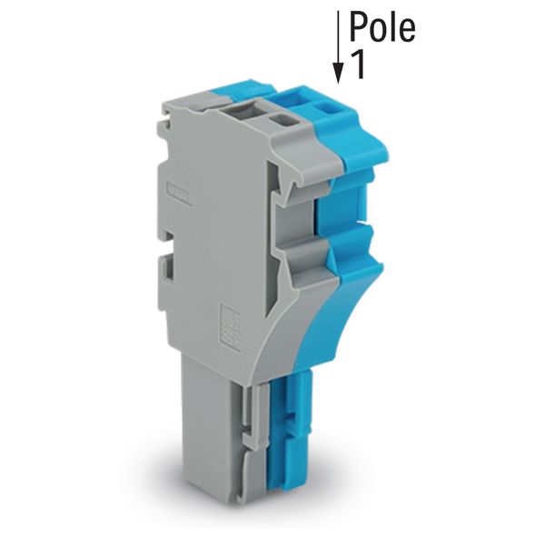 1-conductor female connector Push-in CAGE CLAMP® 4 mm² blue/gray image 2