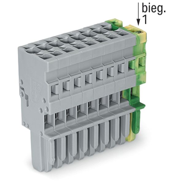 1-conductor female connector CAGE CLAMP® 4 mm² green-yellow/gray image 5