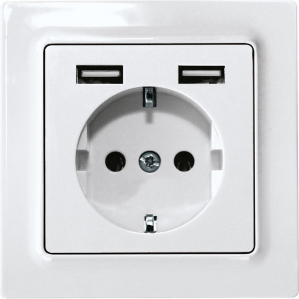 German Socket (Type F) DSS with 2xUSB-A in E-Design55, polar white glossy image 1