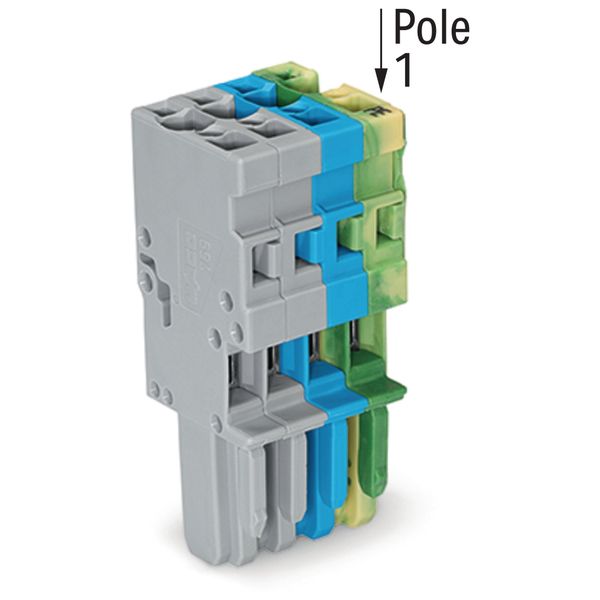 1-conductor female connector CAGE CLAMP® 4 mm² gray, green-yellow, gra image 1