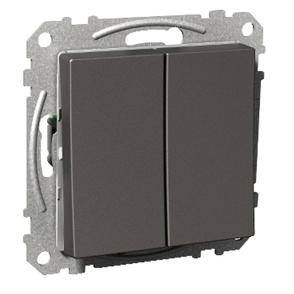 Exxact rocker switch 2-circuits screw anthracite image 2