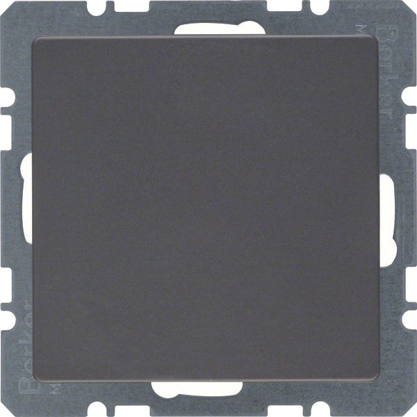 Blind plug centre plate, Q.1/Q.3, ant. velvety, lacq. image 2