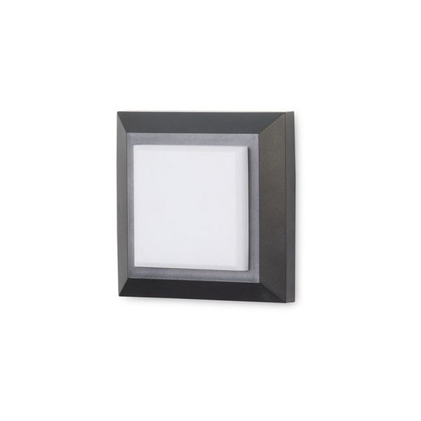 Wall fixture IP65 Grove Diffuser Square LED 2W 4000K Black 172lm image 1