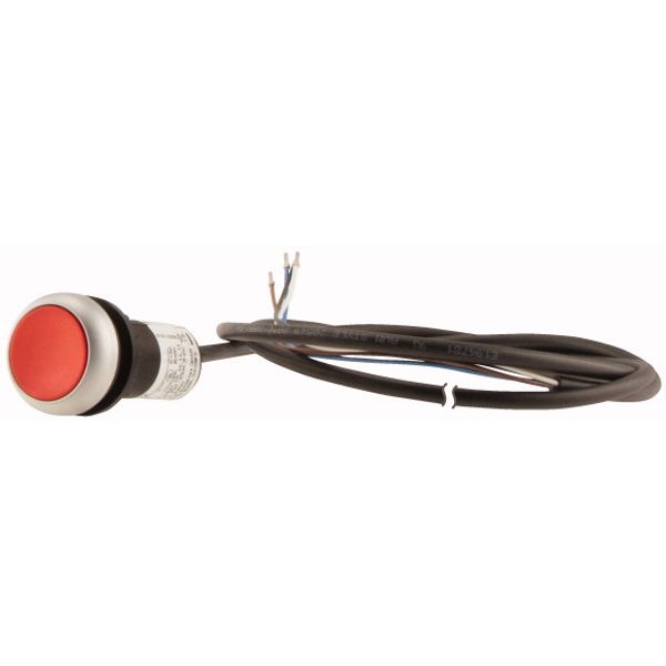 Pushbutton, Flat, momentary, 1 NC, Cable (black) with non-terminated end, 4 pole, 3.5 m, red, Blank, Bezel: titanium image 3