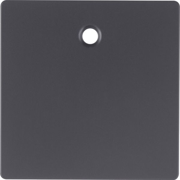 Centre plate f. pullcord switch/ push-button, Q.1/Q.3, ant. velvety la image 2