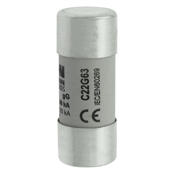 Fuse-link, LV, 63 A, AC 690 V, 22 x 58 mm, gL/gG, IEC image 7