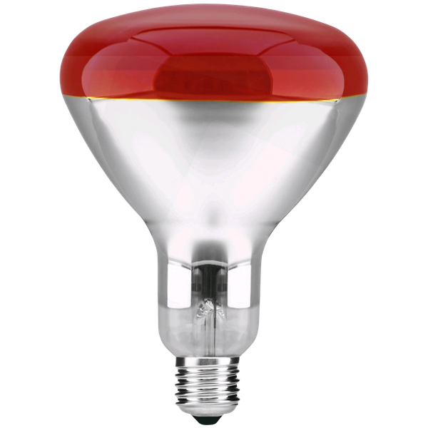 Reflector Bulb 250W E27 R125 IR RED Patron image 1