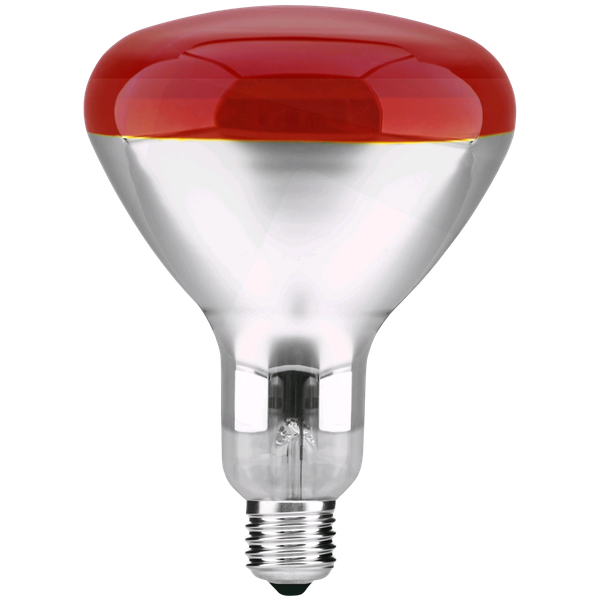 Reflector Bulb 250W E27 R120 IR RED Patron image 1