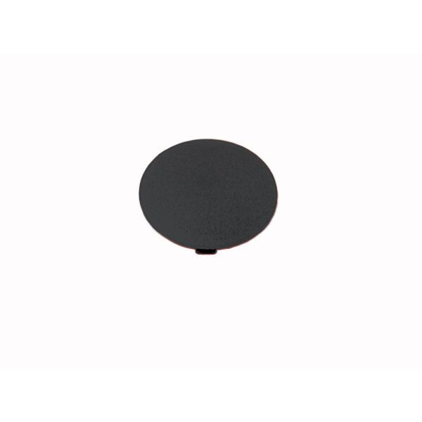 Button plate, mushroom black, blank image 1