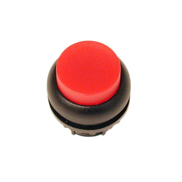 Illuminated pushbutton actuator, RMQ-Titan, Extended, momentary, red, Blank, Bezel: black image 1