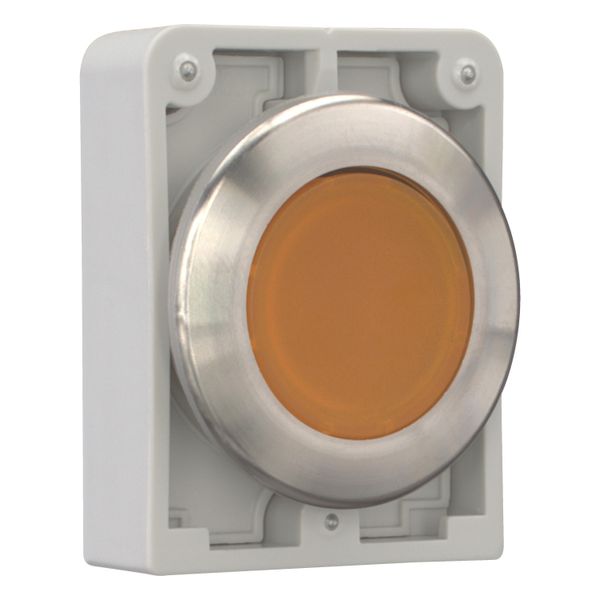Illuminated pushbutton actuator, RMQ-Titan, flat, momentary, orange, blank, Front ring stainless steel image 12