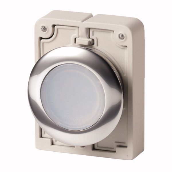 Illuminated pushbutton actuator, RMQ-Titan, Flat, momentary, White, Blank, Metal bezel image 1