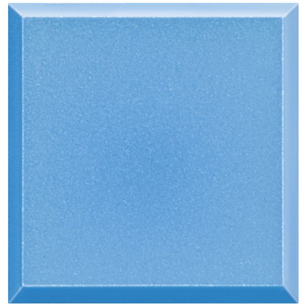 NEUTRAL BLUE KEY COVER image 2