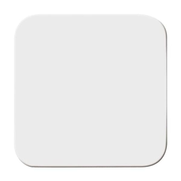 2506 O-214 CoverPlates (partly incl. Insert) carat® Alpine white image 1