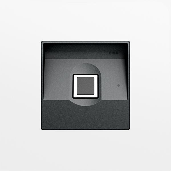 Gira Keyless In fingerprint mod. System 106 traffic white(lac.) image 1