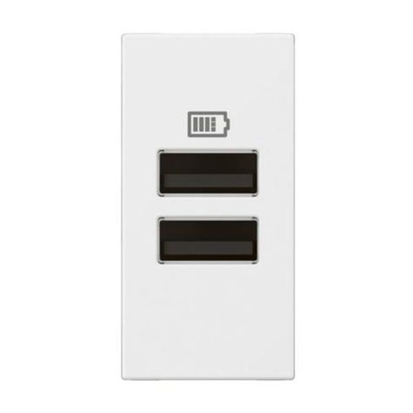 Arteor™ - 1 module USB two ports A+A - 3A- 15W - White image 1