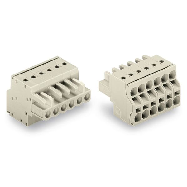 2-conductor female connector Push-in CAGE CLAMP® 2.5 mm² light gray image 3