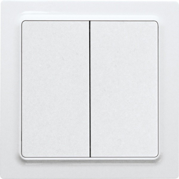 Rocker pushbutton with double rocker in E-Design55, polar white mat image 1