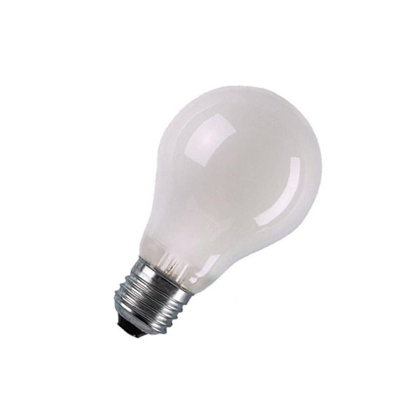Incandescent Bulb E27 40W A55 240V FR image 1