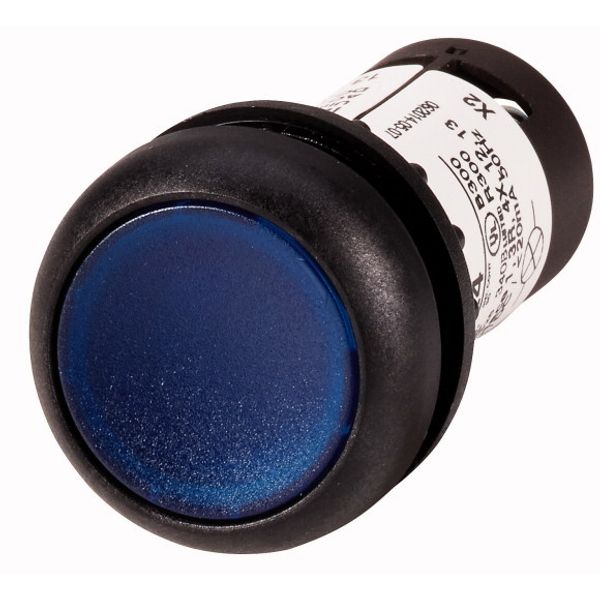 Illuminated pushbutton actuator, Flat, maintained, 1 N/O, Screw connection, LED Blue, Blue, Blank, 230 V AC, Bezel: black image 1