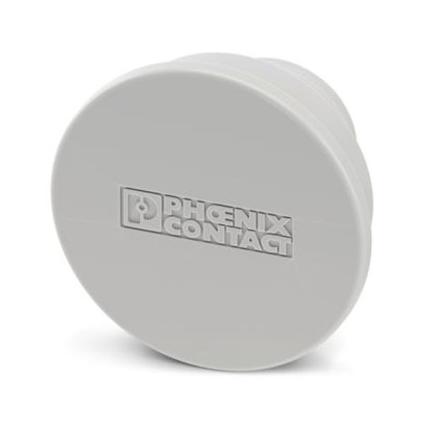 ES-FT-BPC 35 PROTECTION CAP - Dust protection cover image 1