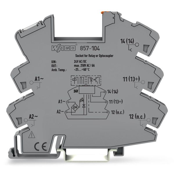 Relay socket Nominal input voltage: 24 V AC/DC for 5 mm basic relays image 2