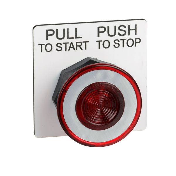 PUSHBUTTON 30MM image 1