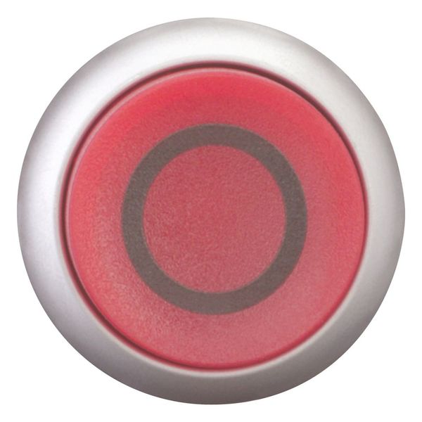 Illuminated pushbutton actuator, RMQ-Titan, Extended, momentary, red, inscribed, Bezel: titanium image 4