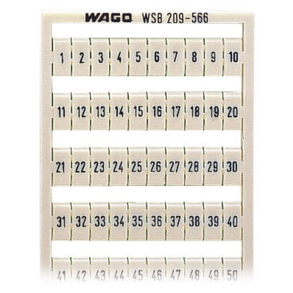 WSB marking card as card MARKED white image 1