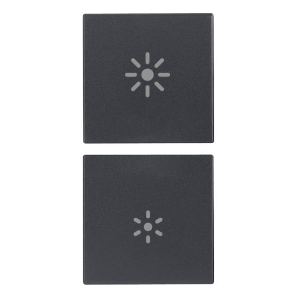 2 half buttons 1M regulation symbol grey image 1