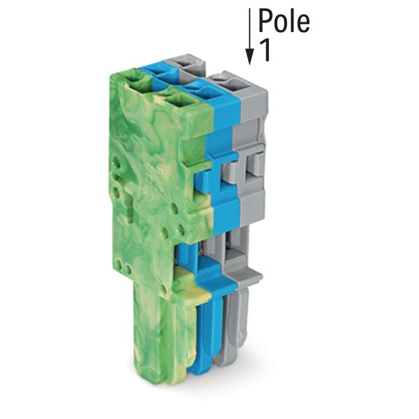 1-conductor female connector CAGE CLAMP® 4 mm² green-yellow, blue, gra image 2