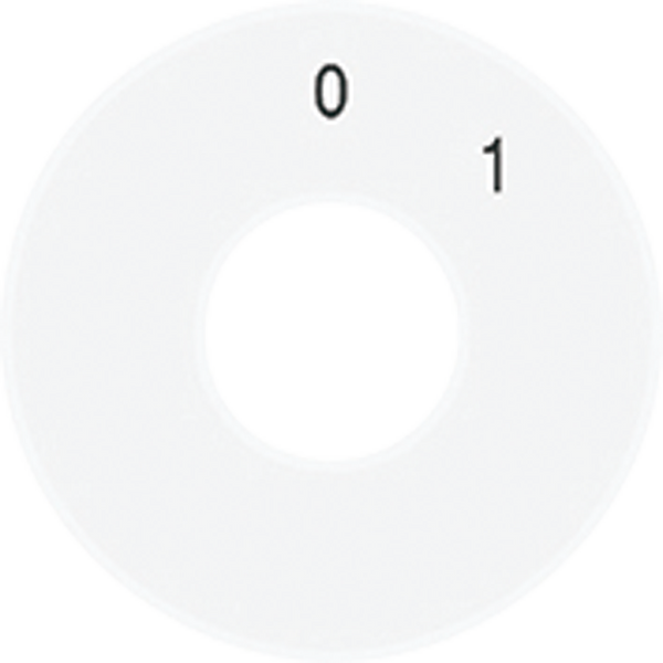 Spare scale disc SKS1101-20WW image 3