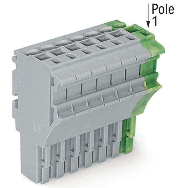 1-conductor female connector Push-in CAGE CLAMP® 4 mm² gray, green-yel image 2