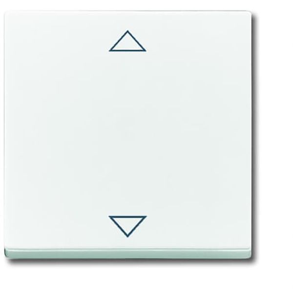 6430-84-102 CoverPlates (partly incl. Insert) future®, Busch-axcent®, solo®; carat® Studio white image 1