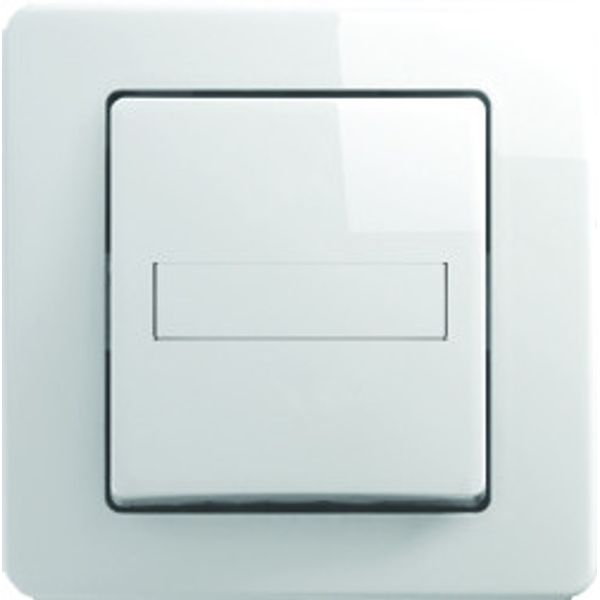 PUSH BUTTON 1WAY 10A 250V~ PW IL 4315459 image 1