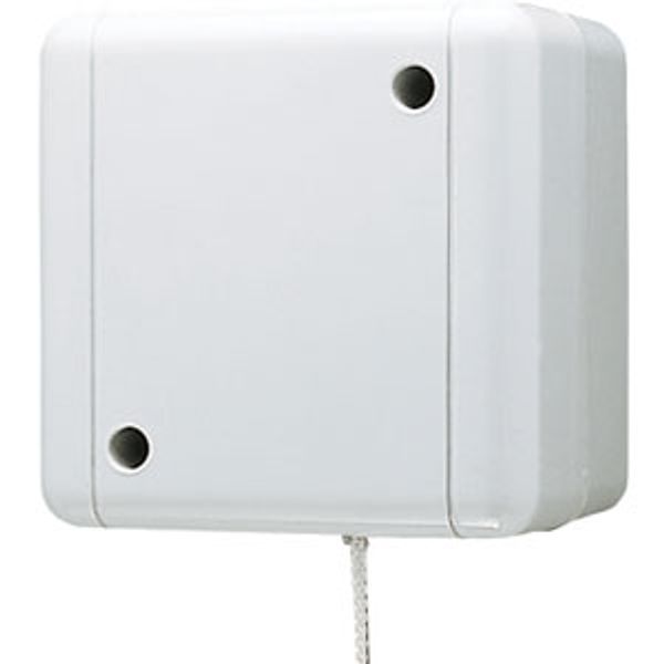 Pull cord switch 806ZW image 1