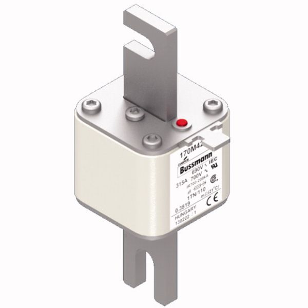 Fuse-link, high speed, 315 A, AC 690 V, DIN 1, 53 x 66 x 138 mm, aR, DIN, IEC, type T indicator image 2