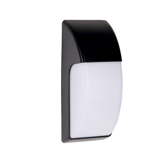 Wall fixture IP65 Area E27 23W Black 1263lm image 1