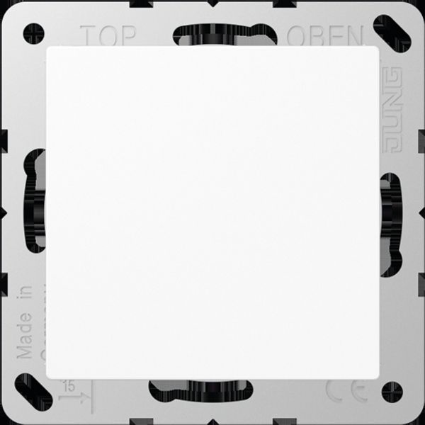 Blank centre plate A594-0WW image 3